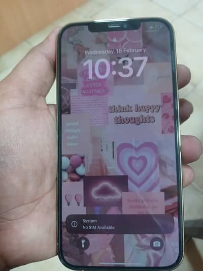 IPhone 12 Pro Max PTA Approved