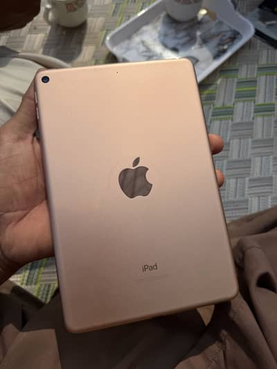 Ipad mini 5