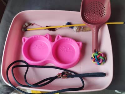 Cat Cage, Toy & Other Accessories.