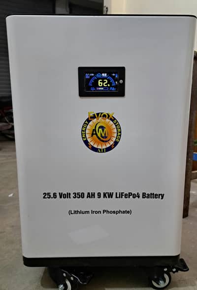 Lithium iron phosphate (Lifepo4) Battery