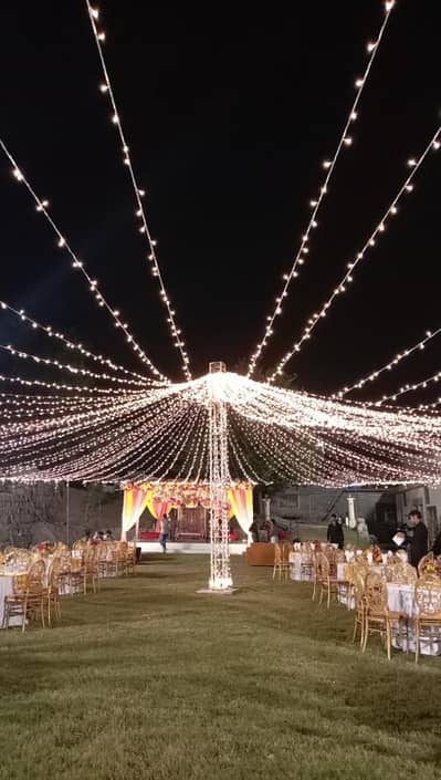 Celebrate Every Moment in Style