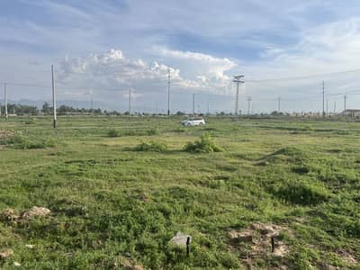 Main Chock. Allah. Chock