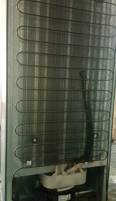 Haier Medium Glass Door Fridge - Excellent Condition with Warranty