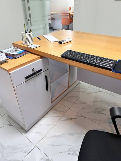 Lasani Wood Modern Office Desk with Side Storage Cabinet