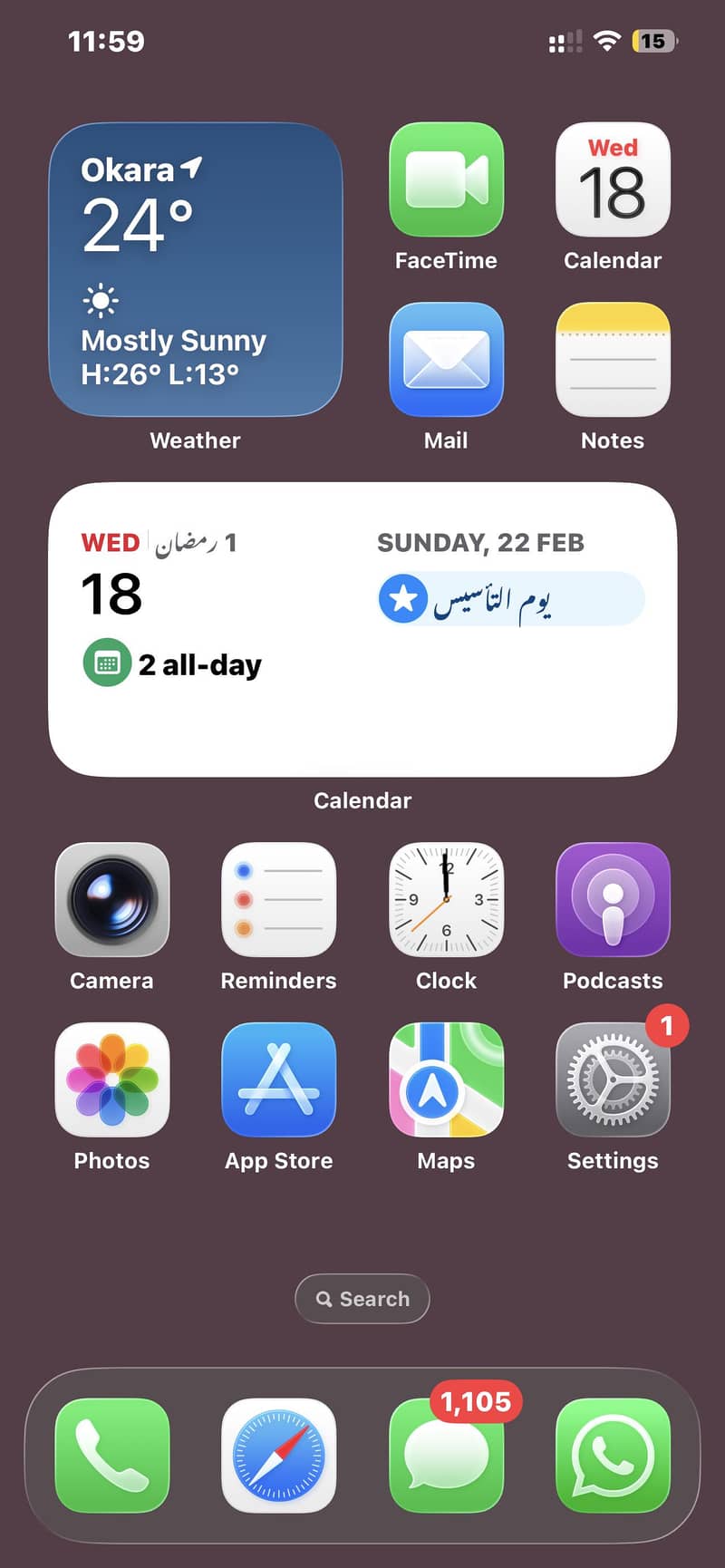 iPhone 12 pro max 1