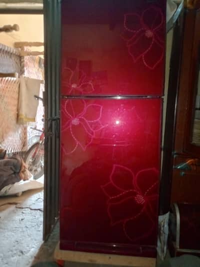 orient medium size fridge