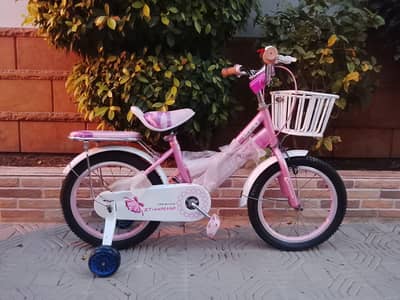 XTIANHANG imported cycle - 16 size - 0320-2257-271