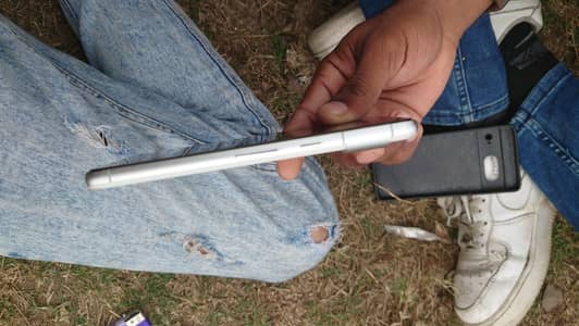 Google pixel Pta approved