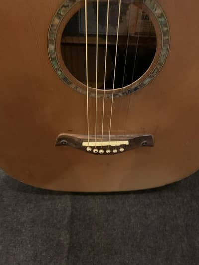 TAGIMA canadian imported Semi Acoustic Guitar