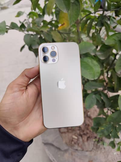 iPhone 12 Pro PTA Approved