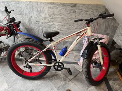 Fat tyres cycle