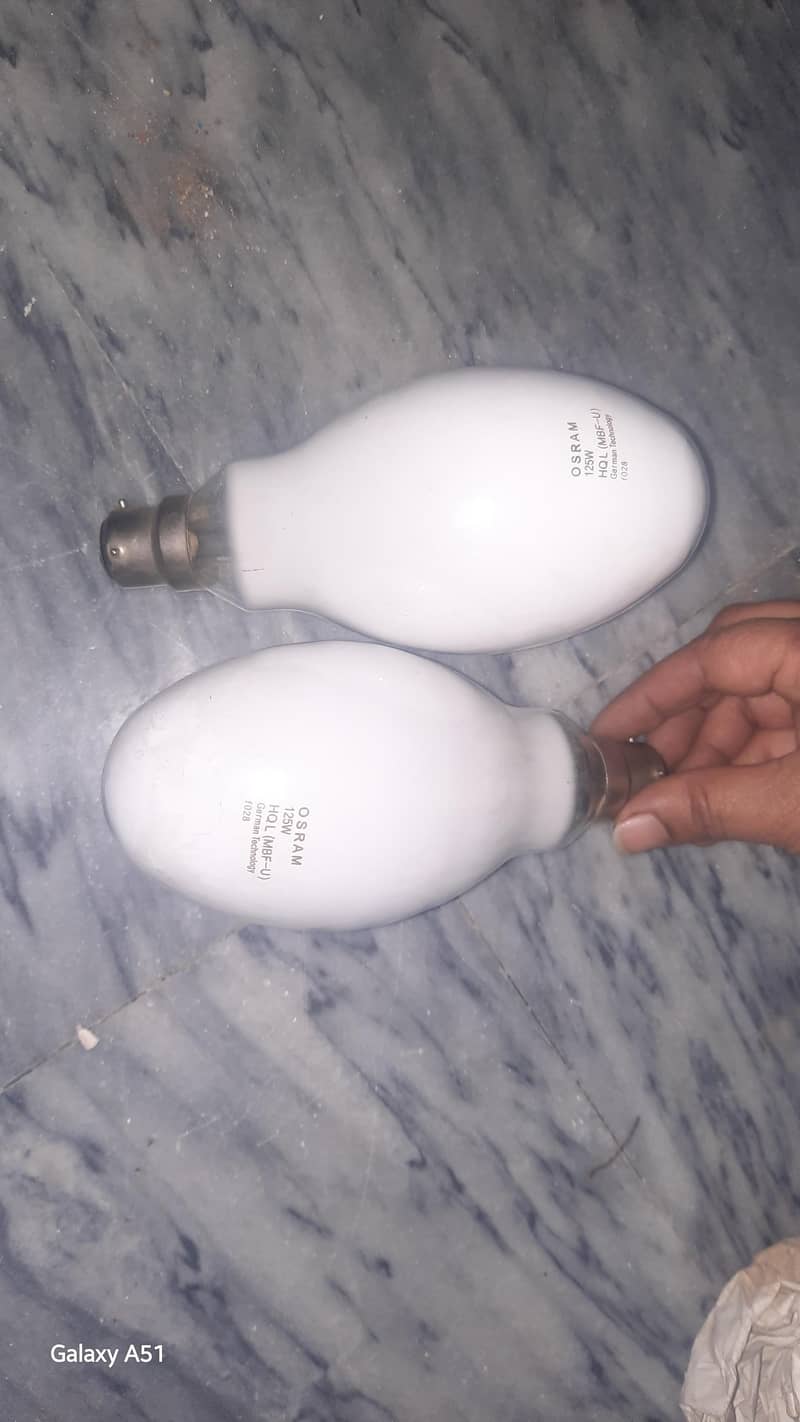 bulbs 2