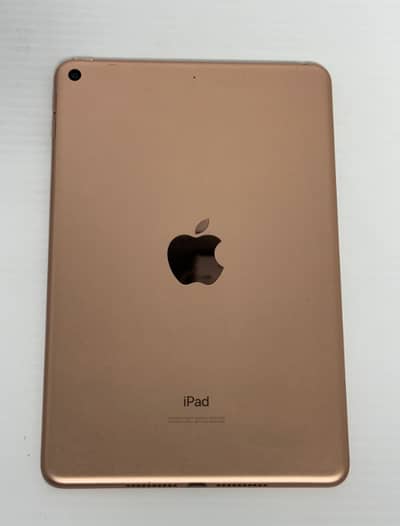 APPLE IPAD MINI 5