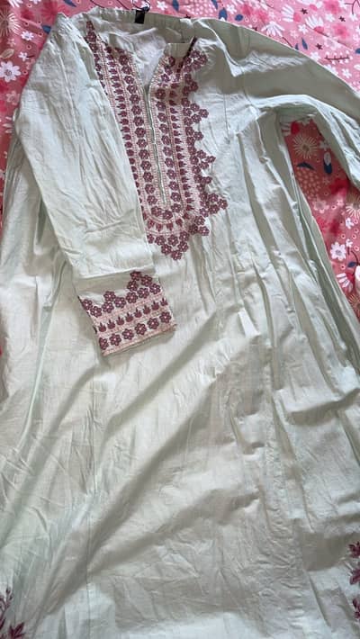 Green kameez with embroidery