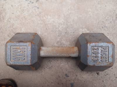 16 kg Doumbble 215 kg per K G