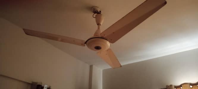 Gfc ceiling fans