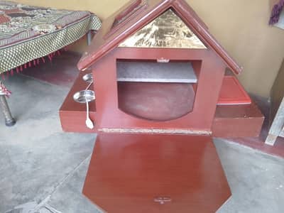 beautiful cat house with lights and food trays