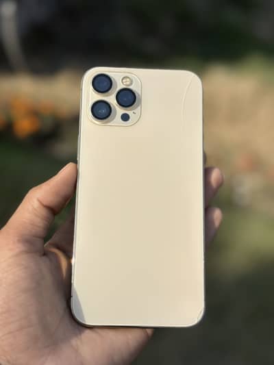 iphone 12 pro max pta approved