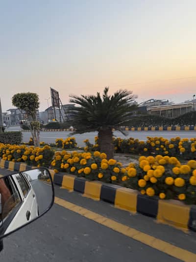 5 Marla On Ground Residential Plot Best For Investment For Sale