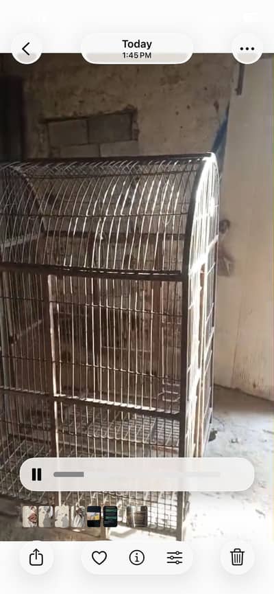 Parrots cages for sale
