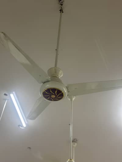Ceiling fans under warranty