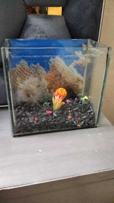 aquarium for sale 0341 4421963