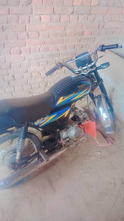 capy letar celery hya Whatsapp number 03007279424