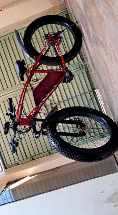 Electric Bicycle