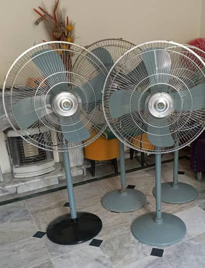 Pedestal fans