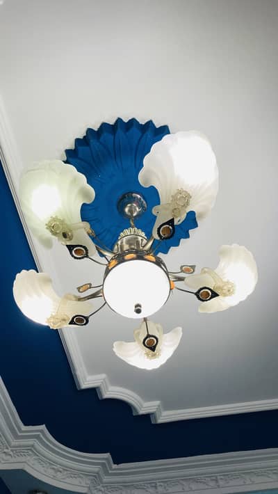 Home fanus for sale on urgent basis. .