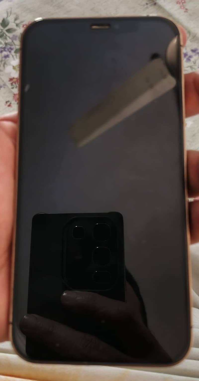 Apple iPhone 12 Pro 0
