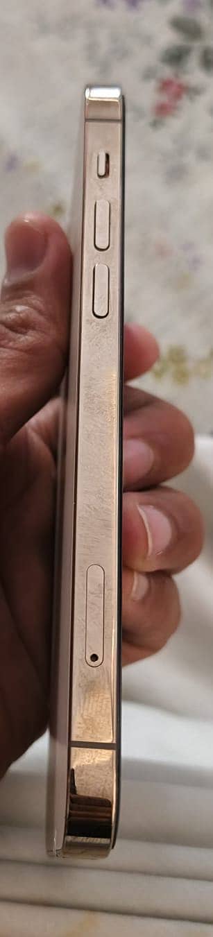 Apple iPhone 12 Pro 1
