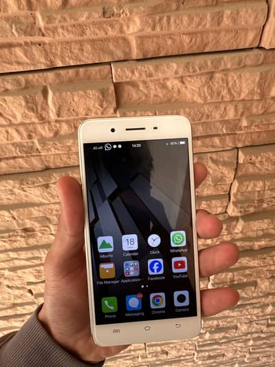 Vivo y55 pta approved