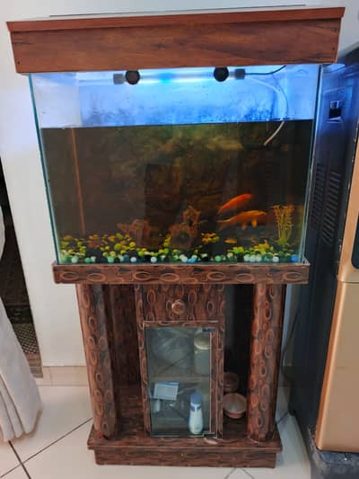 Fishes with complete Aquarium Set