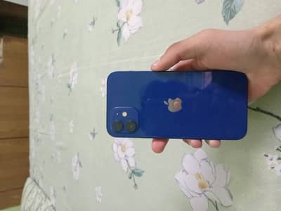 Iphone 12 dual pta 256gb 97%bhh waterpackk