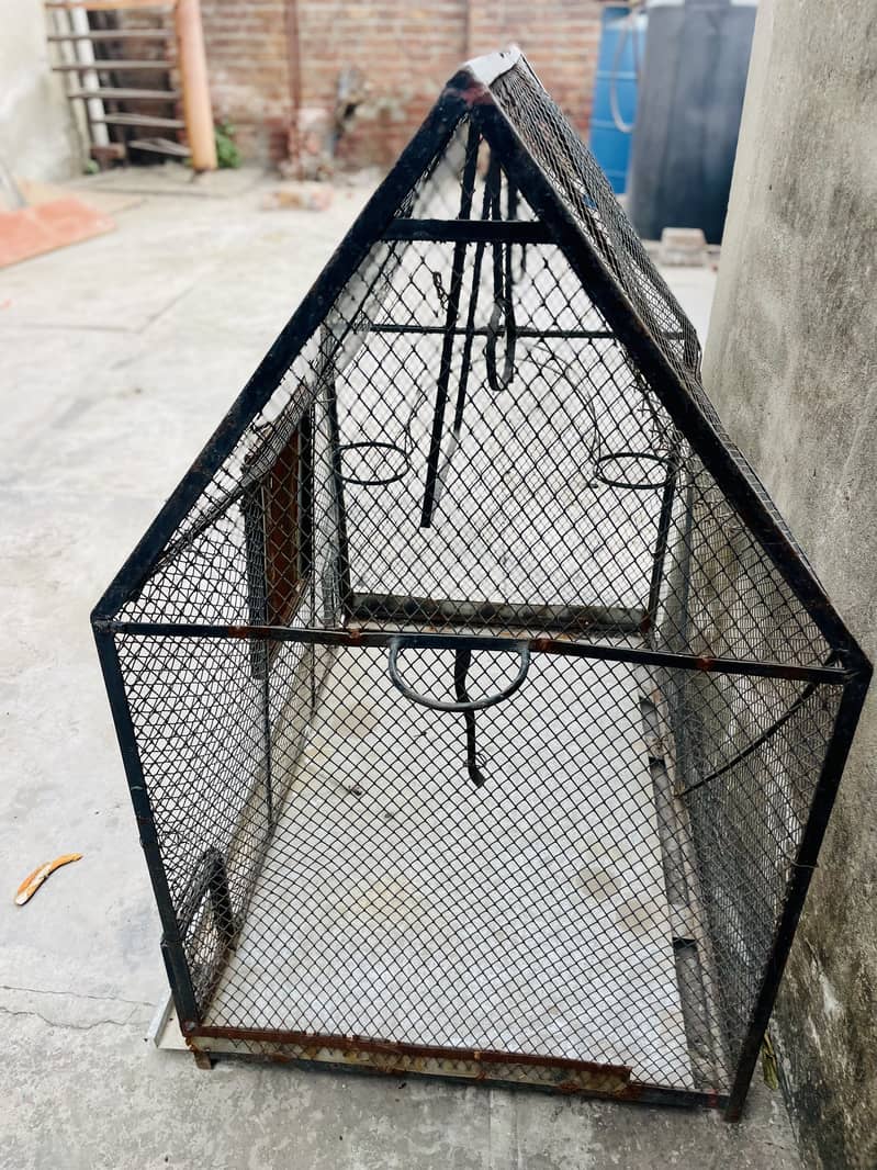 Pairots cage 2
