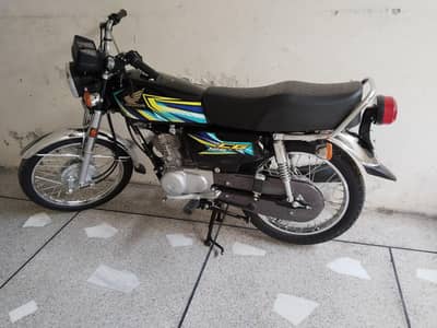 honda 125 All punjab num