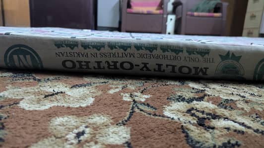 MASTER MOLTI FORM (ORTHO)