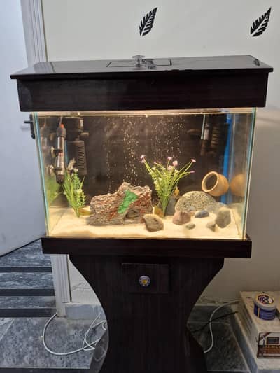 Beautiful & settled COMPLETE setup for sale 2 feet
