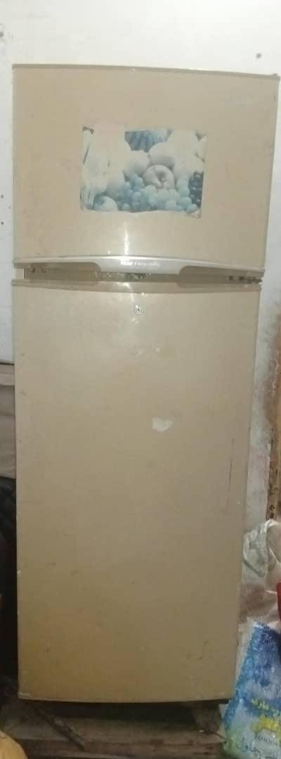Haier 65.5 inch Large Fridge