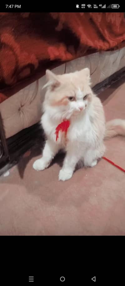 Admissions emergency