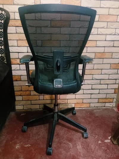 imported Chair 03241178260