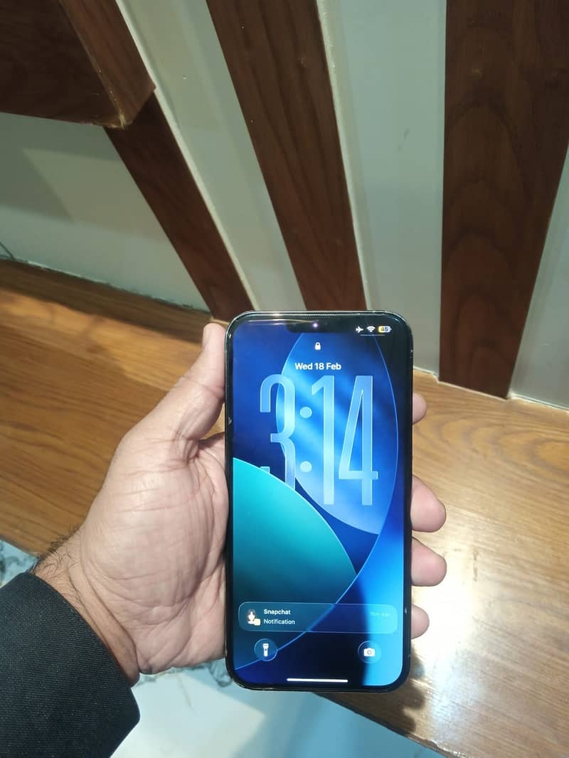 Apple iPhone 13pro max 1