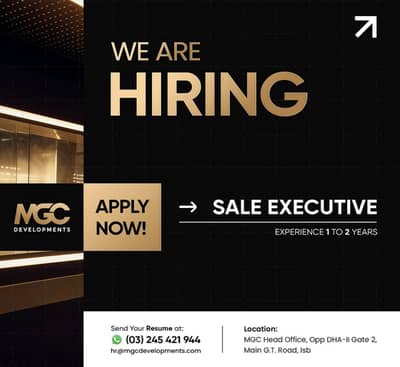 Sales executive