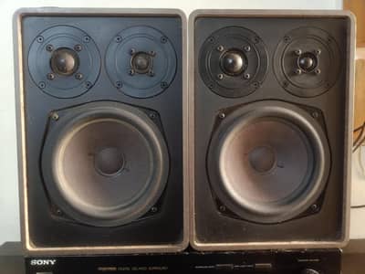 Canton Fonum 30  / USA