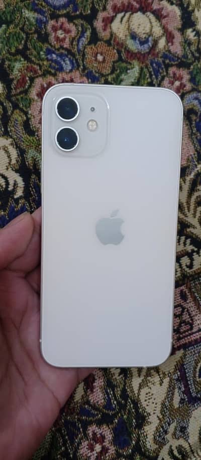 iPhone 12 dual pta new condition
