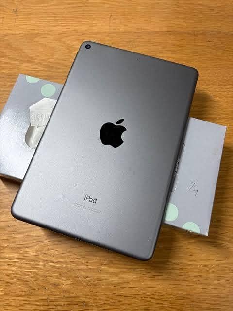 Ipad Mini 5 0
