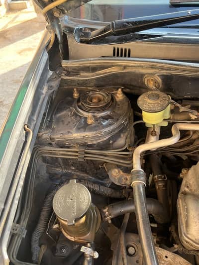 A1 condition. New poshing. Aly Rim, Urgent sail