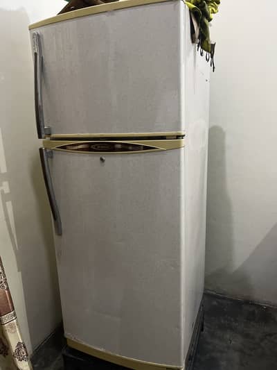 Waves company all okay