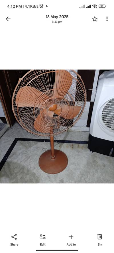 Pedestal Fan